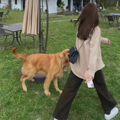 我们仍未知道那颗星的校规
