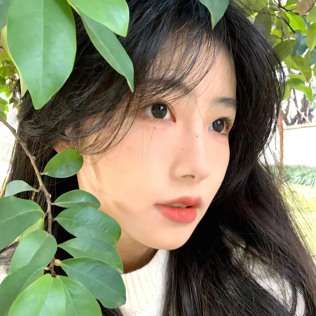 夺面解码